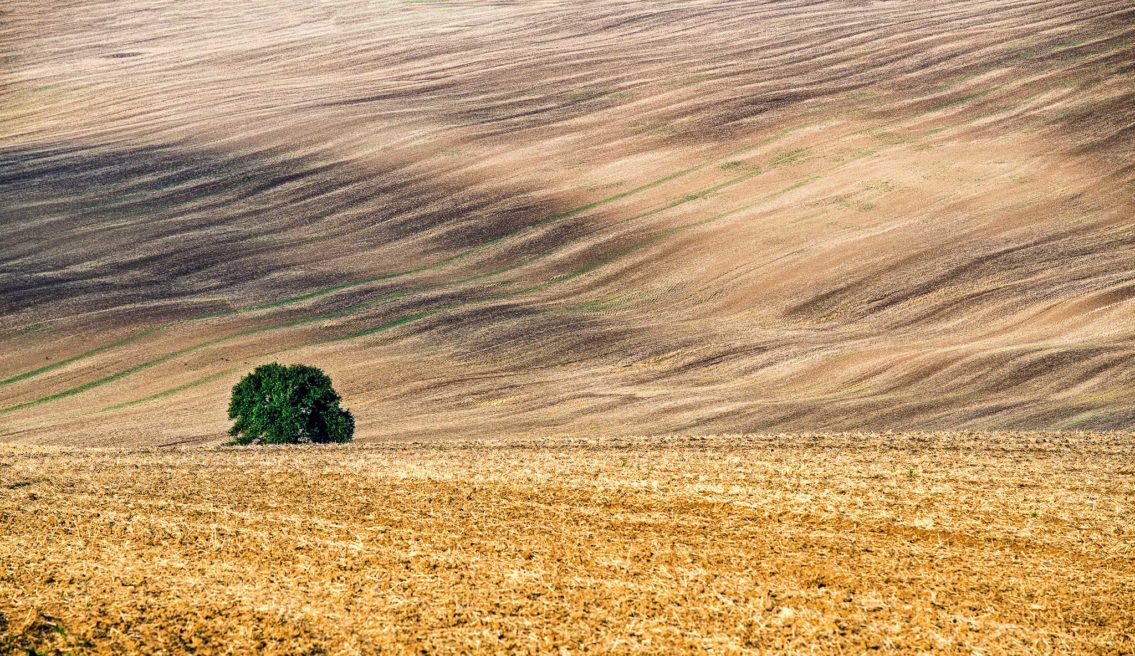 Alone Moravia landscape