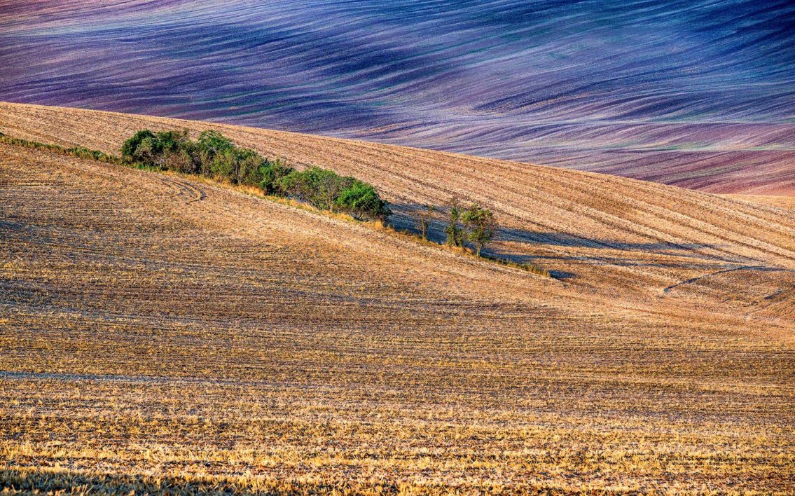 Moravia in the morning landscape